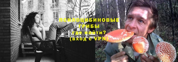 спиды Заводоуковск