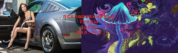 спиды Заводоуковск