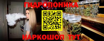 гидра Владивосток