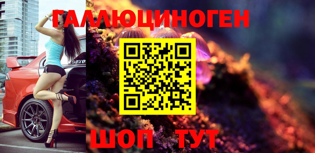 Псилоцибиновые грибы GOLDEN TEACHER Одинцово