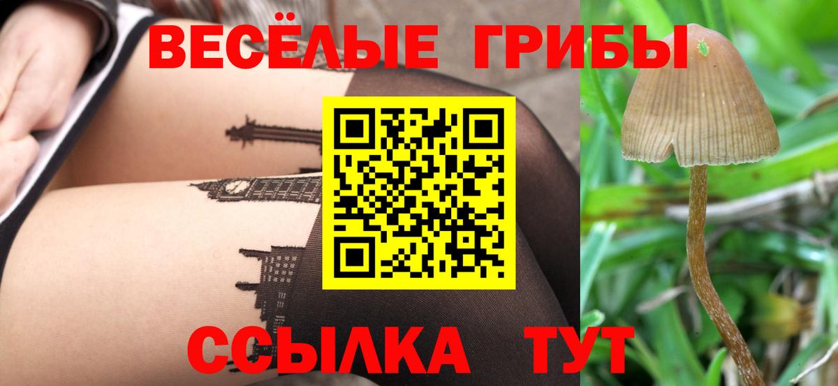 купить  цена  Вход с VPN  Одинцово  Галлюциногенные грибы прущие грибы 